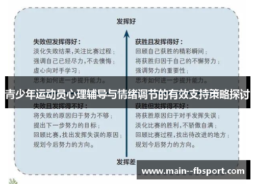 青少年运动员心理辅导与情绪调节的有效支持策略探讨