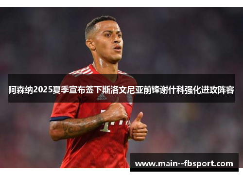 阿森纳2025夏季宣布签下斯洛文尼亚前锋谢什科强化进攻阵容